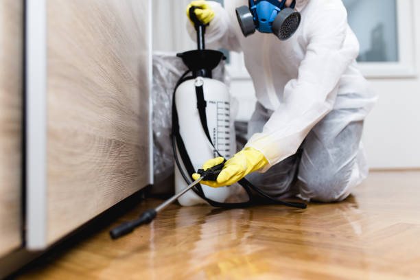  June Park, FL Pest Control Pros