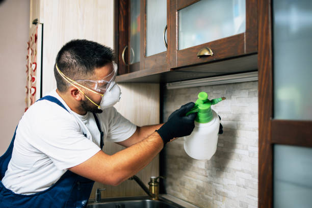 Best Pest Control Near Me  in June Park, FL