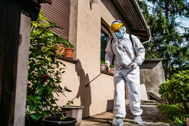 Best Best Pest Control Companies  in June Park, FL