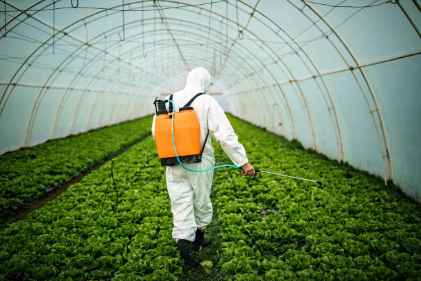 Best Pest Inspection Near Me  in June Park, FL
