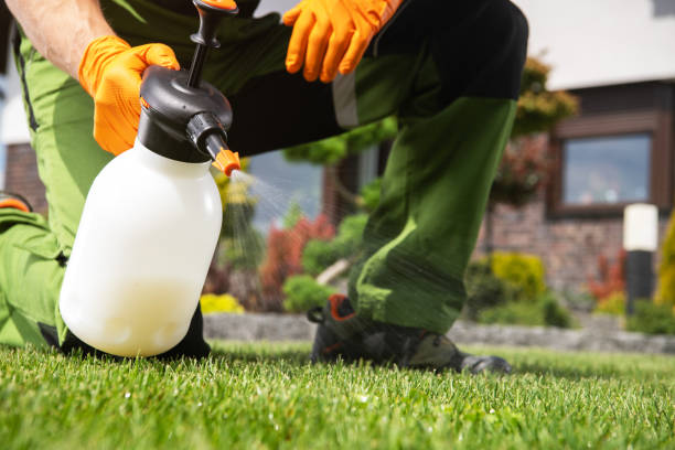 Best Exterminator Services  in June Park, FL