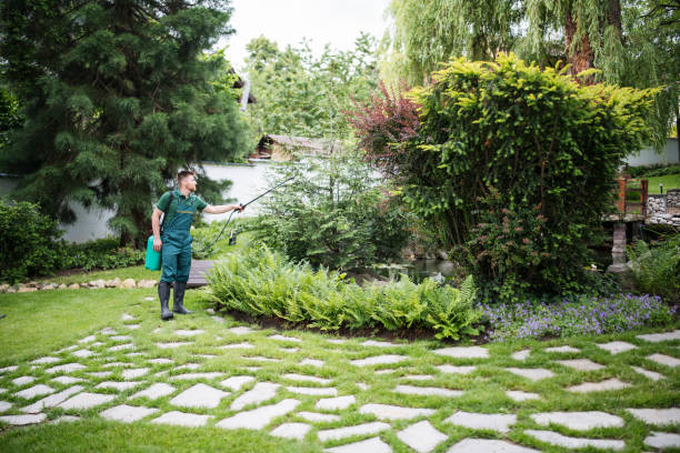 Best Affordable Pest Control Services  in June Park, FL