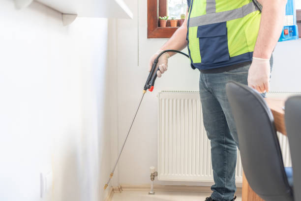 Best Flea Control Services  in June Park, FL