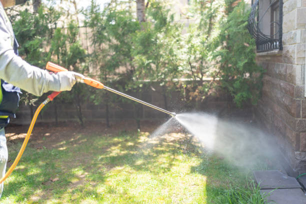 Best Emergency Pest Control  in June Park, FL