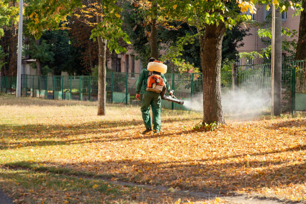 Best Mosquito Control Services  in June Park, FL