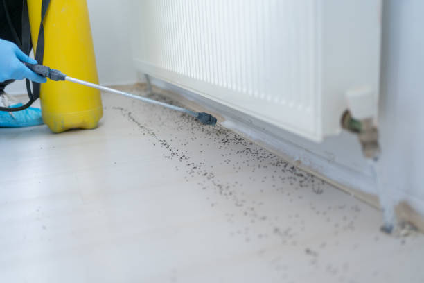 Best Pest Control Near Me in June Park, FL
