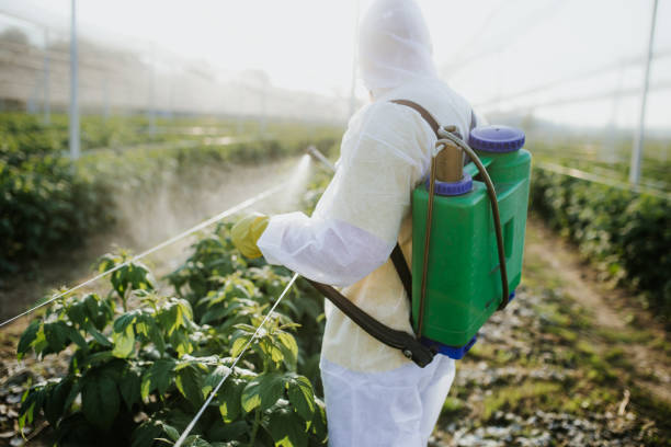 Best Ant Control Services  in June Park, FL